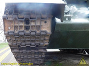 DSCN5826