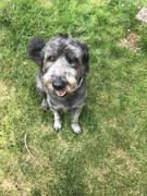 69D67C29-3B0D-4C56-B354-C34299F108D8