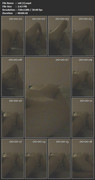vid-(1)-mp4
