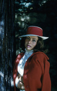 judi-meredith-a19