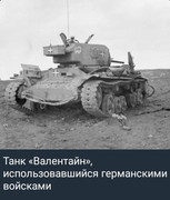 https://i.postimg.cc/0bdLhY7P/photo-2026-05-31-03-51-29.jpg