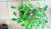IMG-20200918-090130