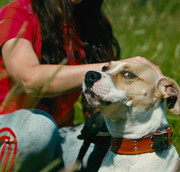 Screenshot_20230627_234254_Gallery