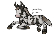 2025_06_27_0qs_Kleki