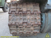 IMG-5628