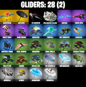 gliders-comp