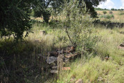 DSC-0044