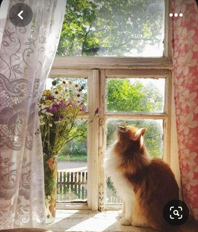 Screenshot_20230622_000715_Pinterest