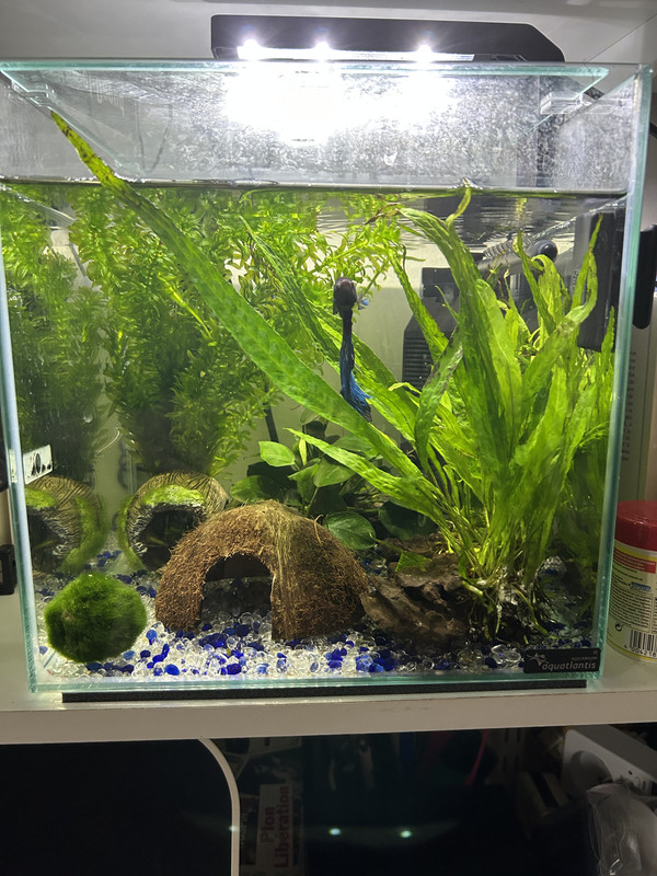 6F8998D8-E7D4-43D9-9CCF-D45C7BDB0714