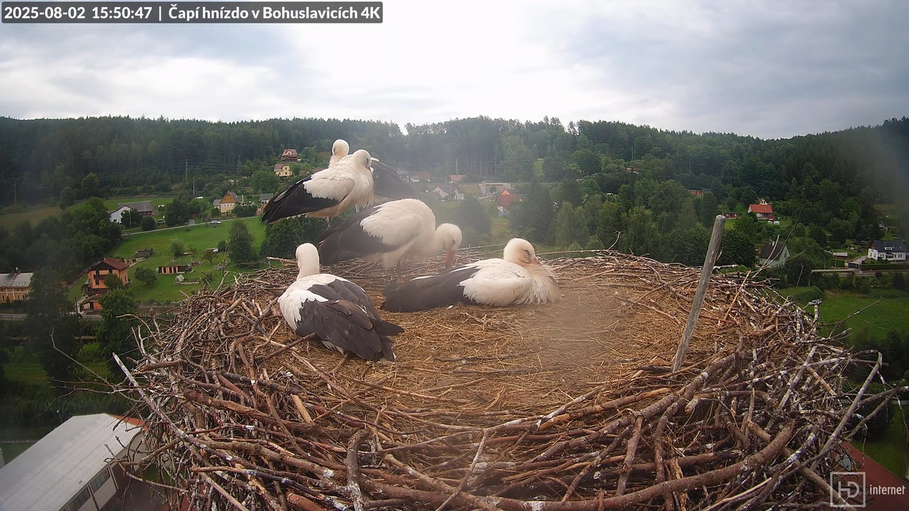 Tiešraide no KARA uzņēmuma stārķu skursteņa Bohuslavicē netālu no Trutnovas 17-43-55 screenshot