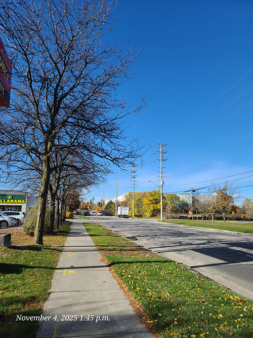 [Image: 20251104-134517.jpg]