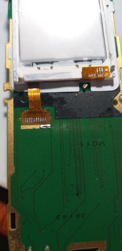 49167820_2188309531221282_6299845462698491904_n