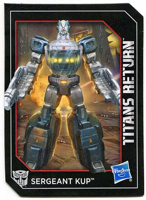 15726208_1255445354521402_6327405259120682220_n