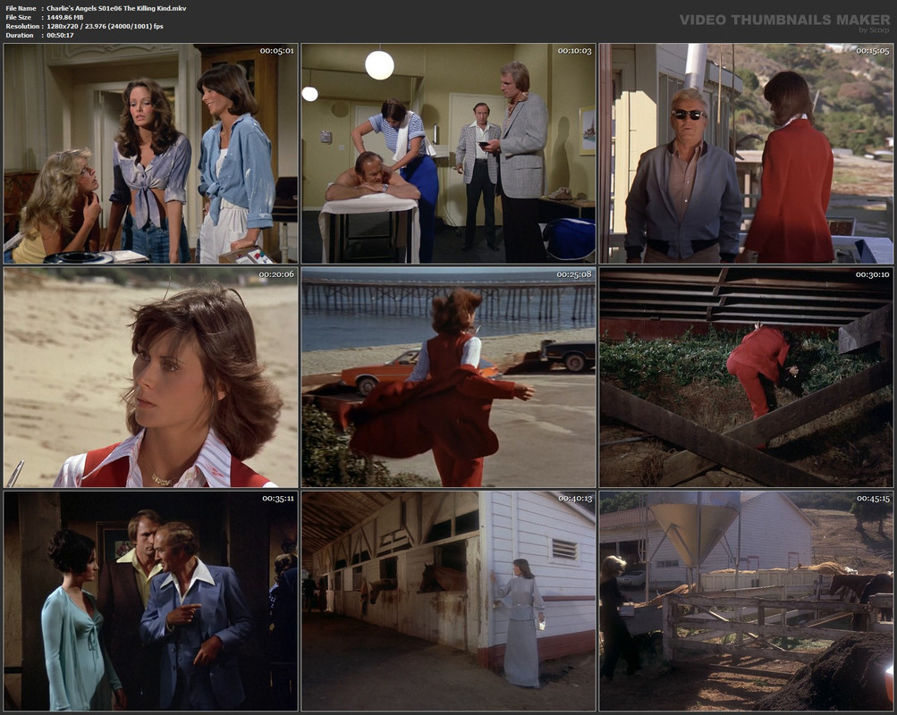 Charlie's Angels S01e06 The Killing Kind.mkv
