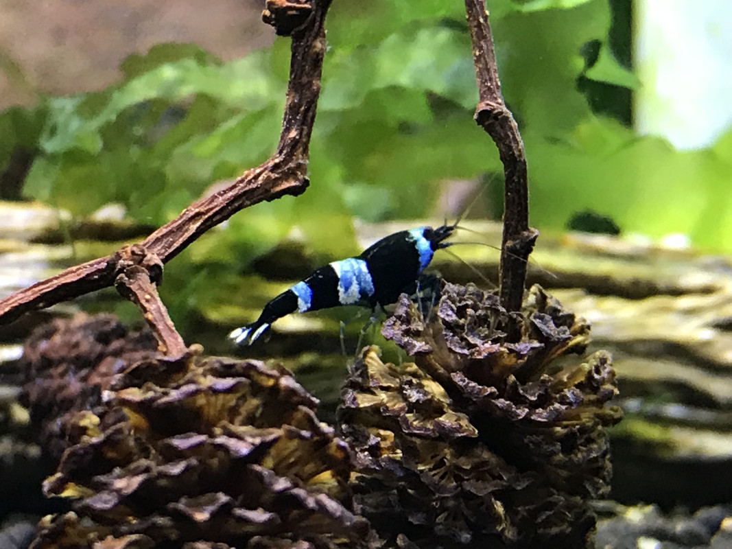 EA1ACA75-43DA-42BB-9079-30C5443DD473