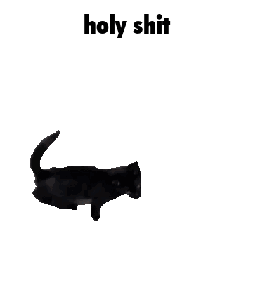 cat_meme.gif