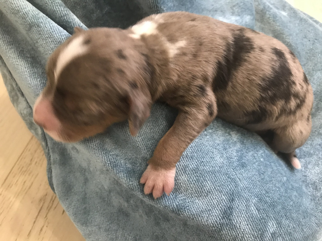 C8C320EE-1BB6-454A-A580-B9A5035C0AAB