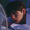 joshua from seventeen