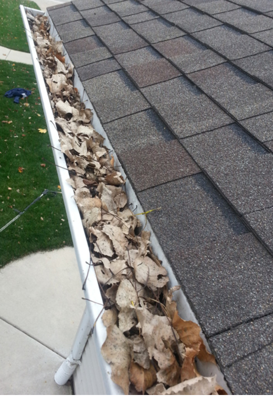 Gutter before cleaning