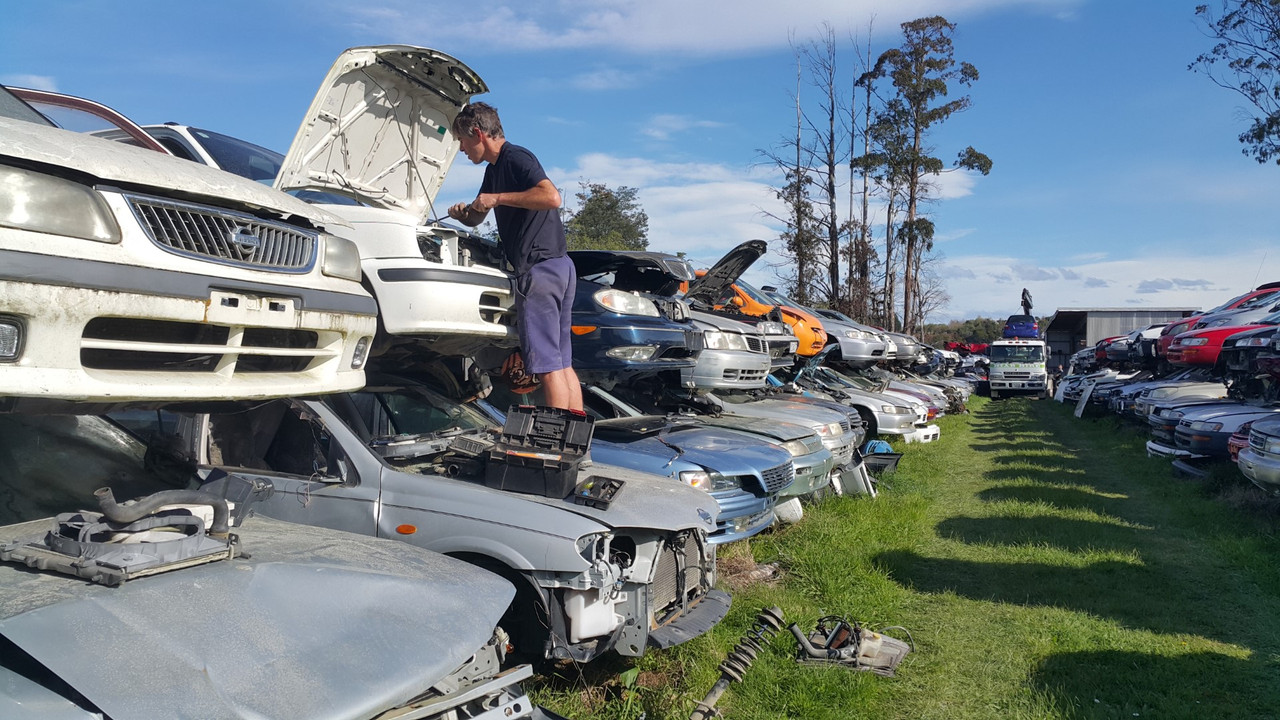 20201002_164509 (Large)