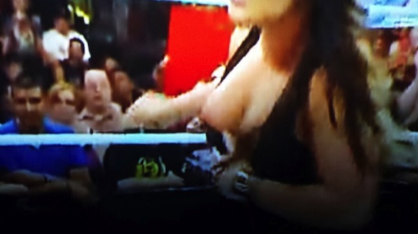 WWE-NIPSLIP-2