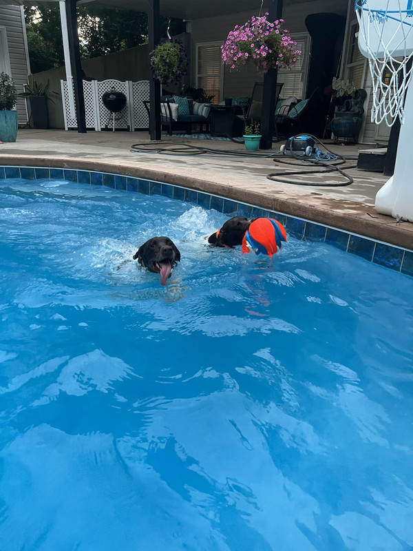 B256D54A-3F9C-4A50-B041-7CBC560CBDAA