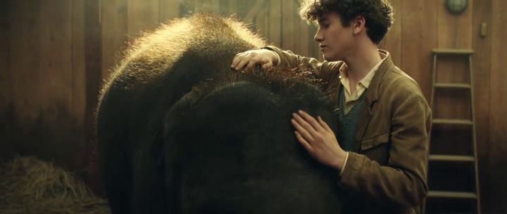 vlcsnap-2019-11-07-14h50m59s618