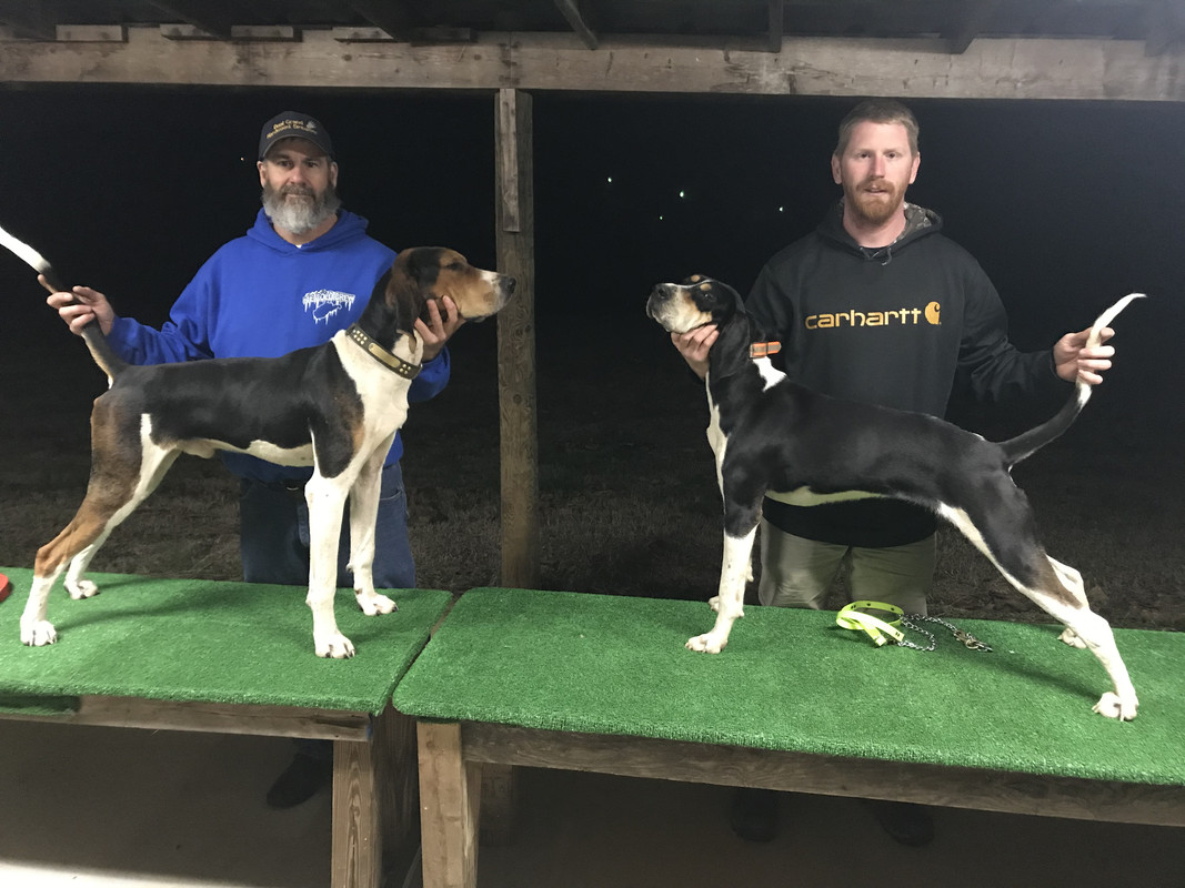 C296F45A-3750-4649-BECA-D819AA524356