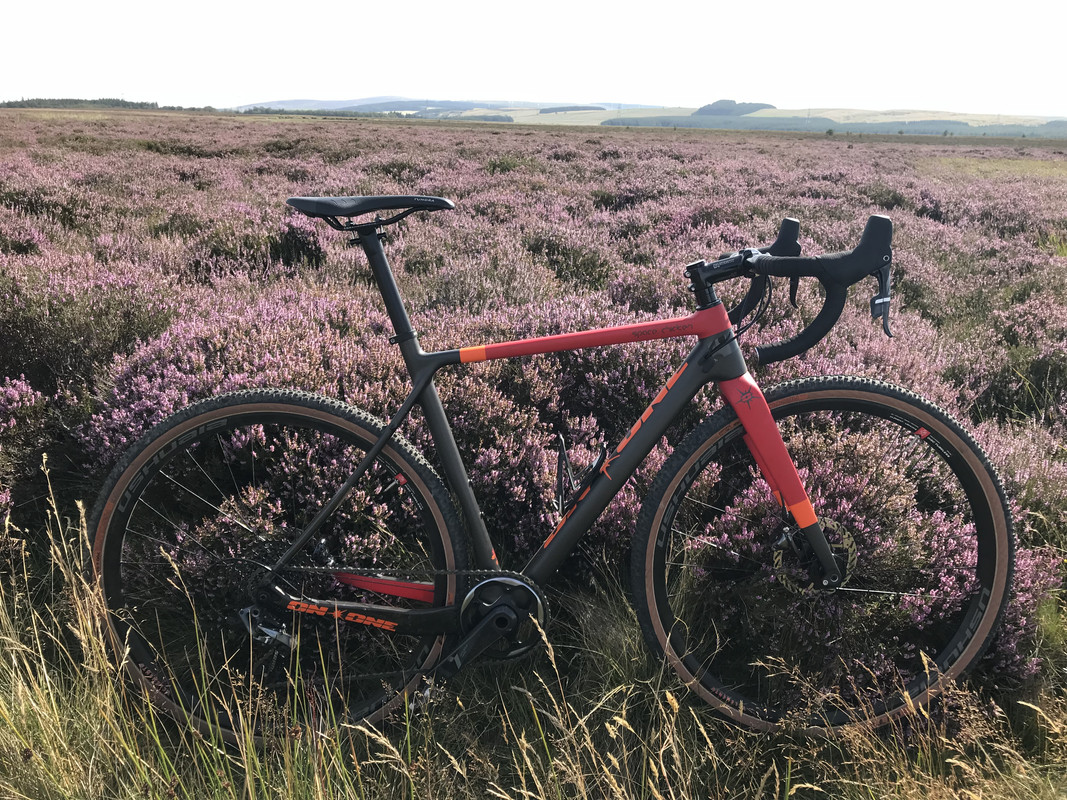 B2B54656-098C-4DA8-82F9-410D4462B3CC