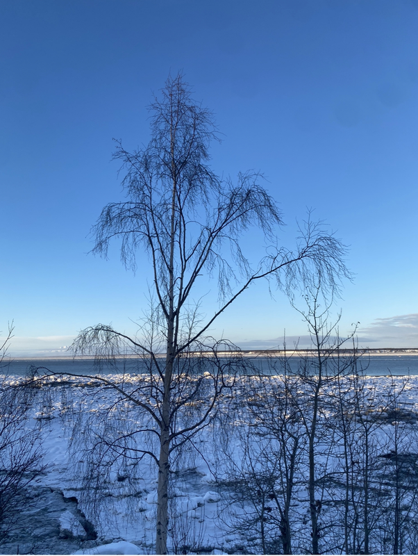 View recent photos 18