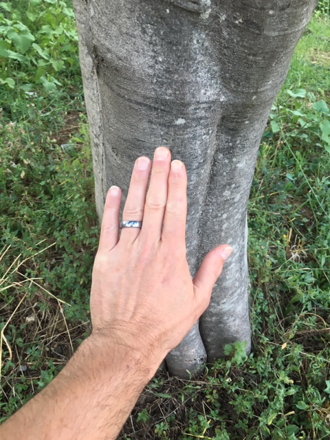 59D99D4F-107C-4E27-9DAE-B35D0FCFBE8C