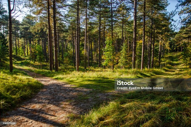 Sfeerfoto Haamstede 2