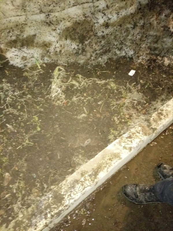 IMG 20260320 095504 731