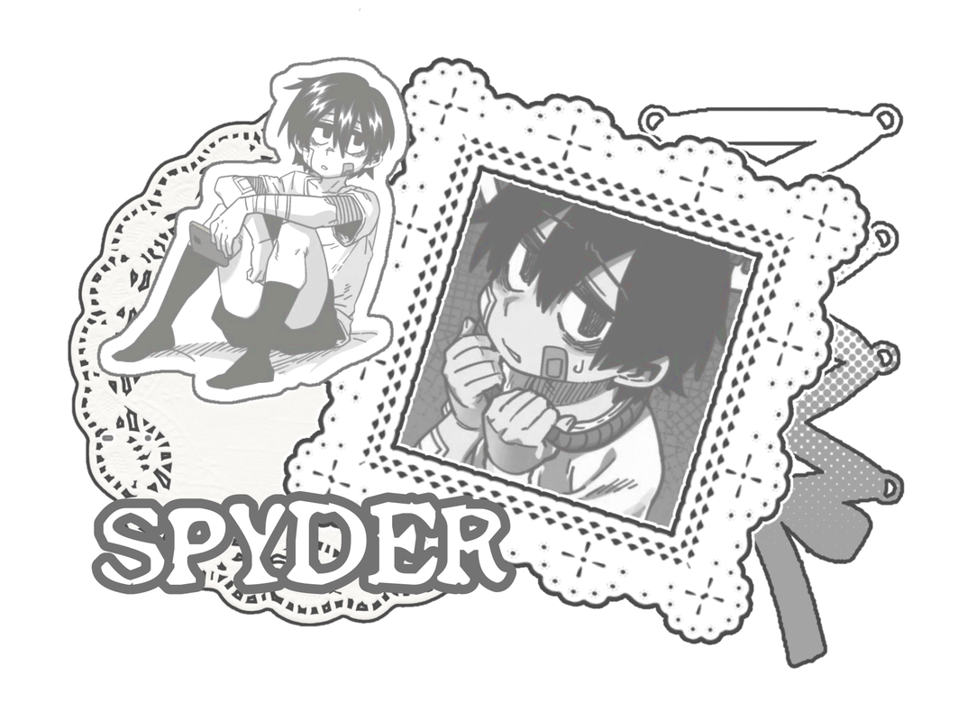 text: spyder