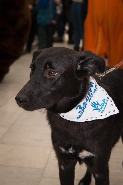 4CDB9303-32BC-48F0-8A6F-4AC2F1DBA3A8