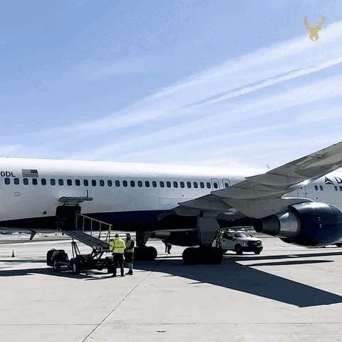runningflight-ezgif.com-webp-to-gif-converter.gif