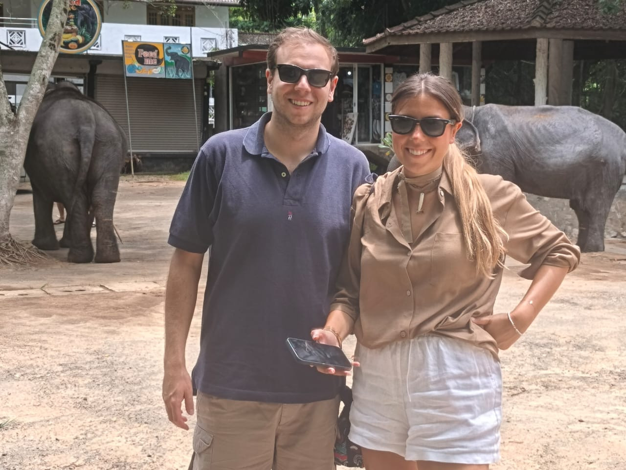 Wildlife Safari