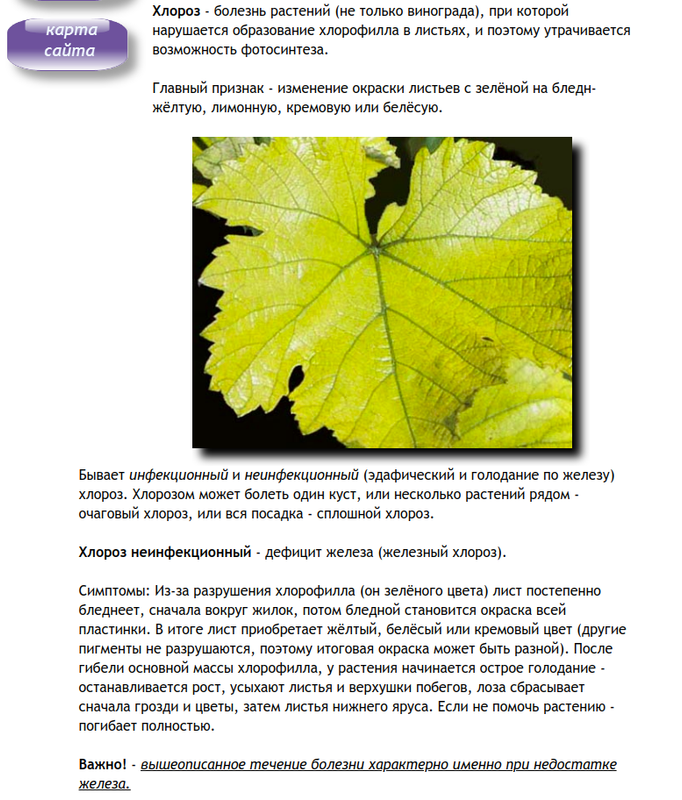 Снимок экрана от 2024-06-12 11-34-52