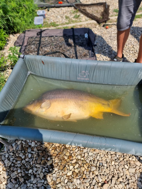 WhatsApp Image 2022-07-24 at 11.56.52 (1)