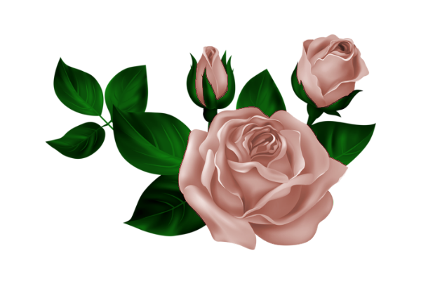 TADD_BrownLove_elements (72)
