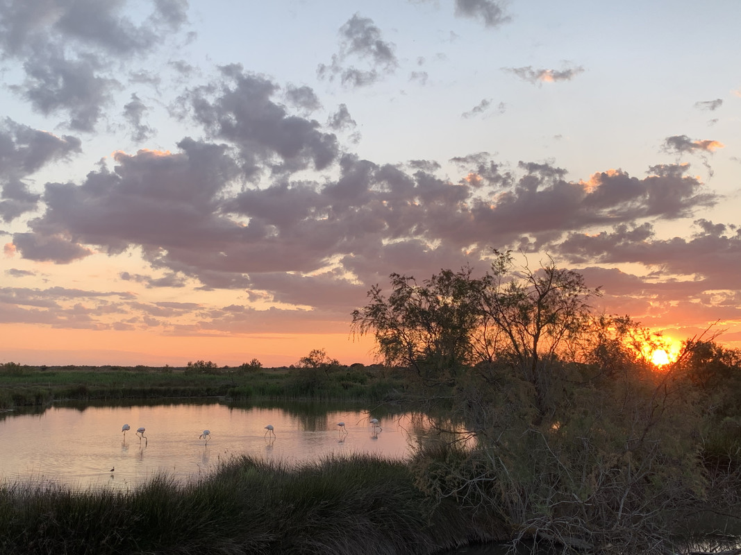 45256282-3B64-4635-BDD0-2017B2E17B6A