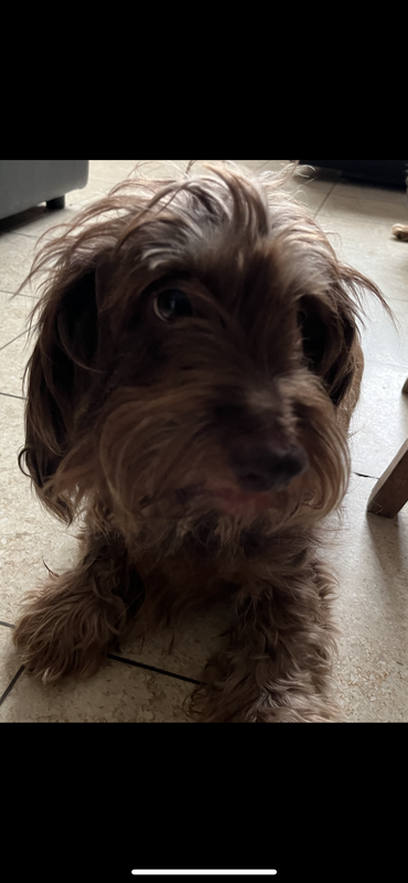 [Image: 448129-BF-A9-D0-4-CA8-A793-6-CA74043-B230.png]