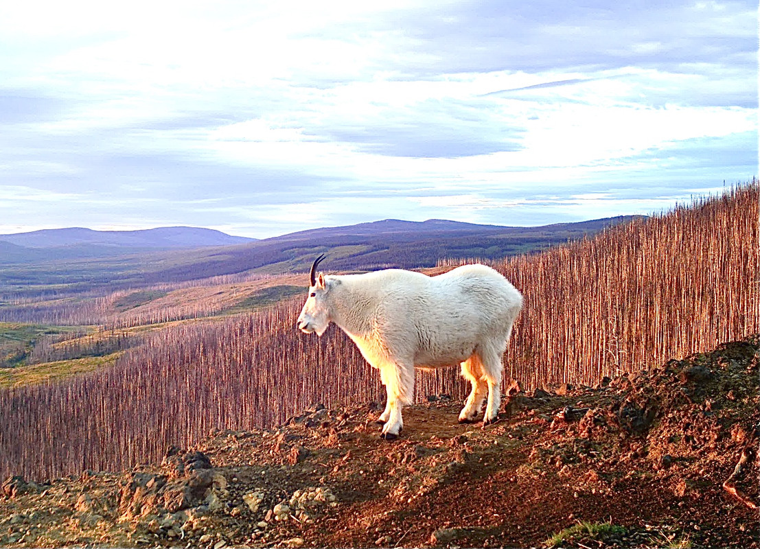 AB029572-3935-4790-820A-2493E6146B60