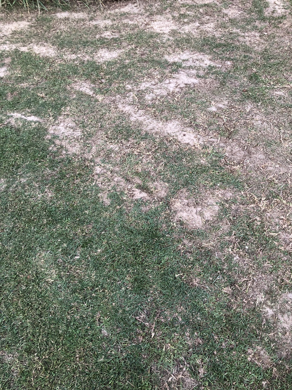 7956EF75-D8B7-4F4C-BAE0-8069E050F55D