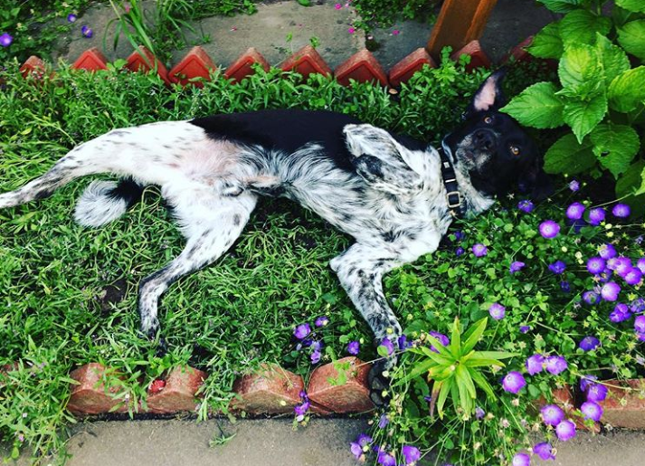 30E70800-784D-4EAC-84D1-4CE7C458E8CC