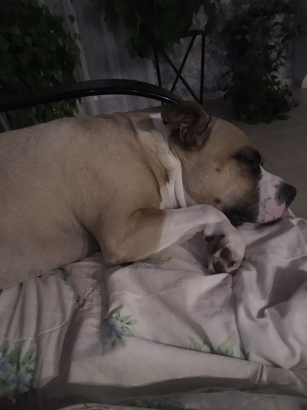 5F86A75D-D5EB-45E4-8757-6118CE56A5FD