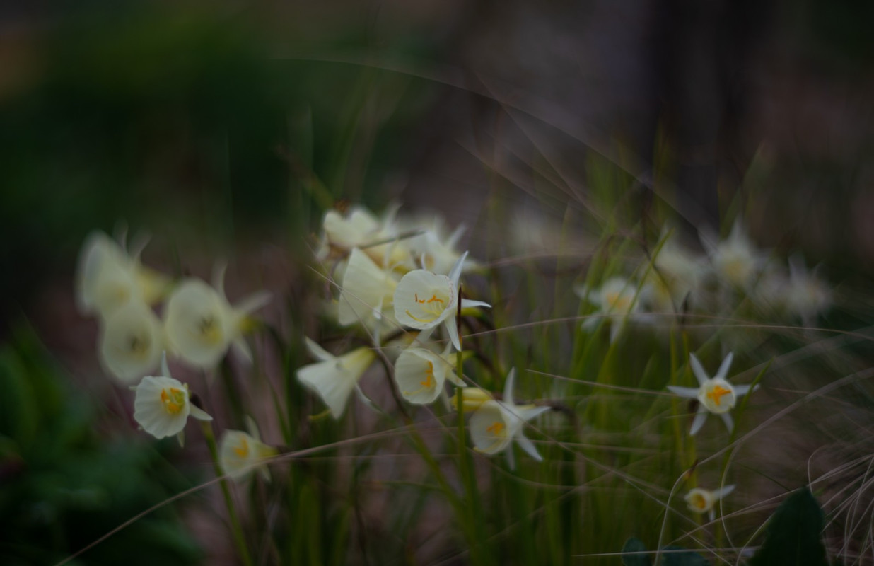 IMG-3f8a36894db9a5442c69d5e9179b0859-V