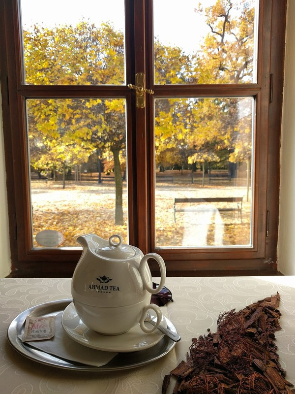 teapot-1878725-1280.jpg