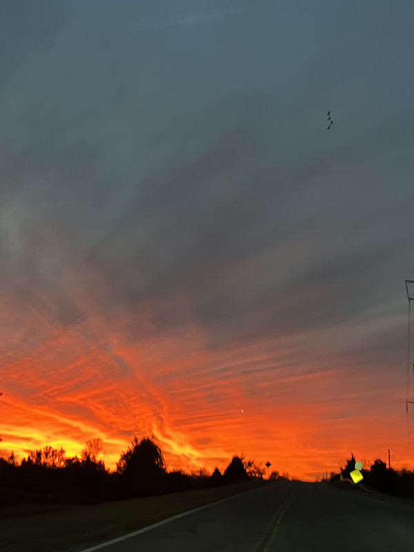 IMG 0283 — Postimages