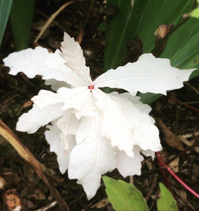 Naturaleza-7